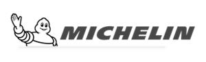 Tire Brand: Michelin