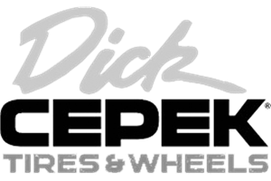Dick Cepek